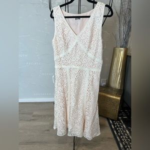 NWT Ann Taylor Ivory Pink Lace Dress fit & flare size 14